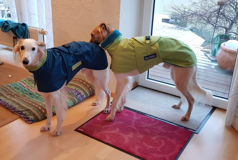 Frauen Gelten Nichts Werden Wie Hunde Behandelt