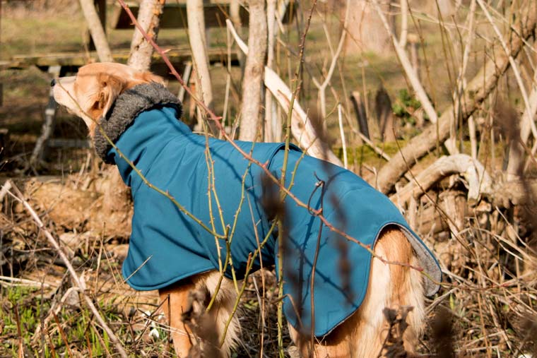 Softshell-Hundemantel gefüttert mit Bio-Baumwollfleece
