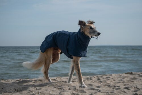 Mantel für Windhunde