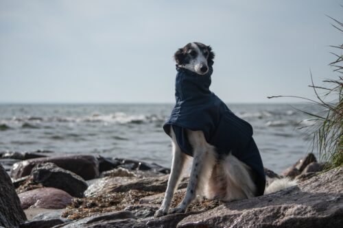 Mantel für Windhund