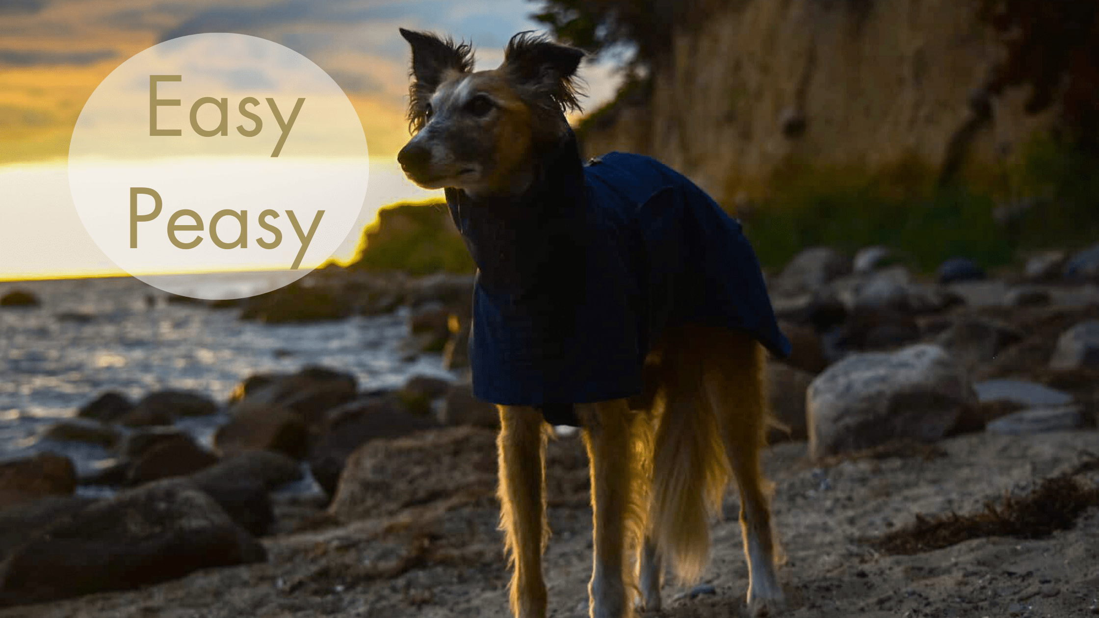 Hundemantel für Windhunde