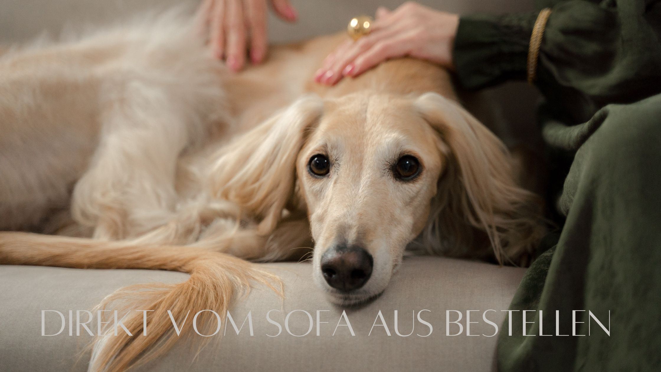 Windhundmantel kaufen